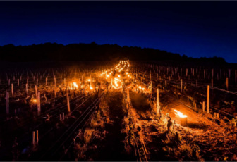 Mieux que le Beaujolais Nouveau